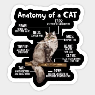 Funny Anatomy Of A Cat - Cute Funny Kitty Kitten Feline Pet Lover Sticker
